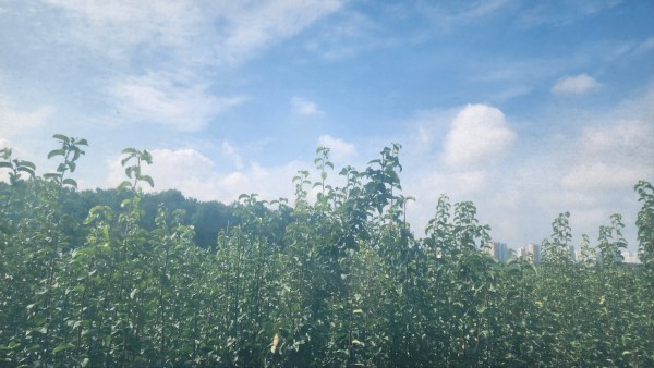 thumb/user/h/hosannasilver/editor/2309/4c96730e4fe5aef42d48f7e8bbb8ccba_1695014816_8212.jpg 이미지크게보기